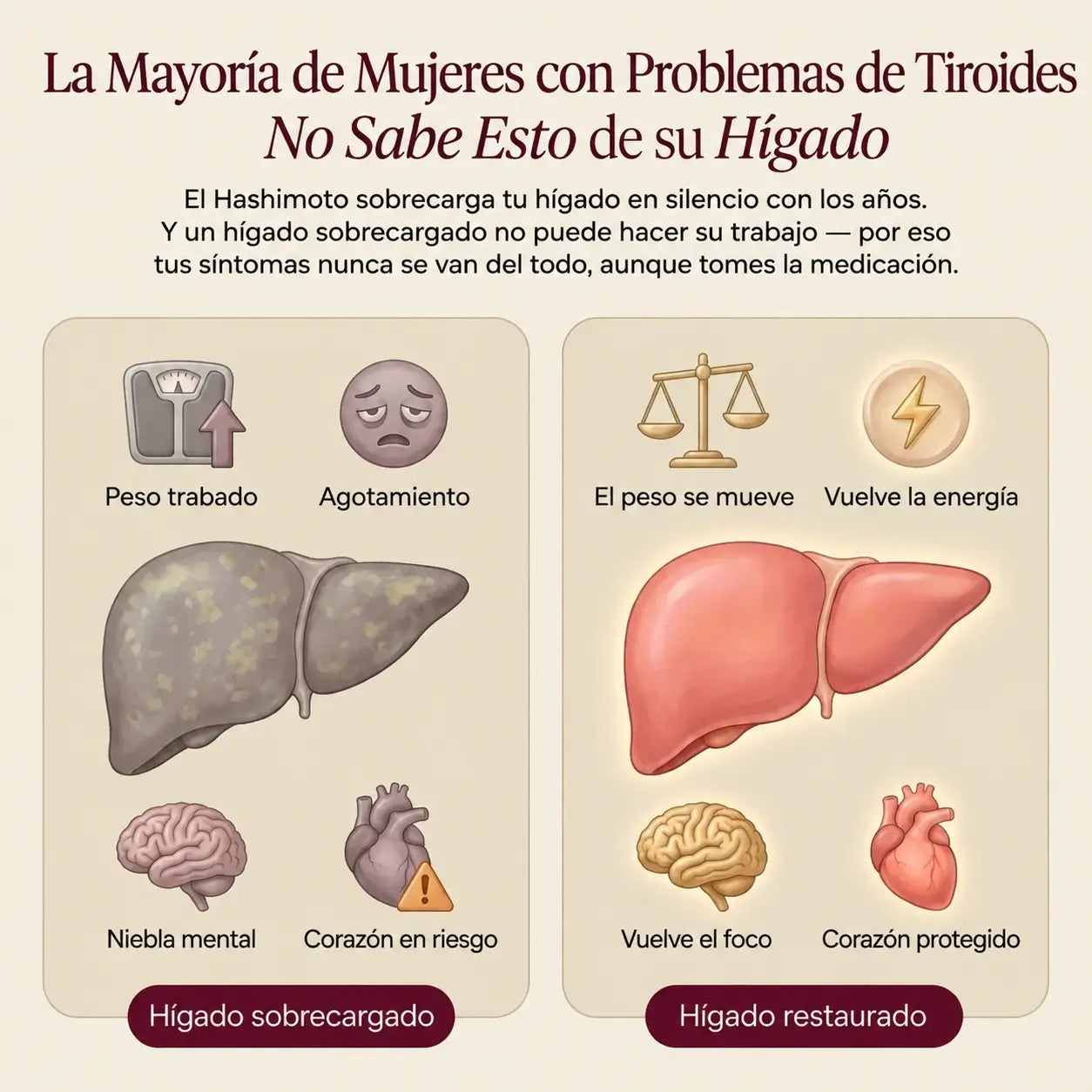 Pureveen™ | Protegé tu corazón. Bajá de peso de verdad.