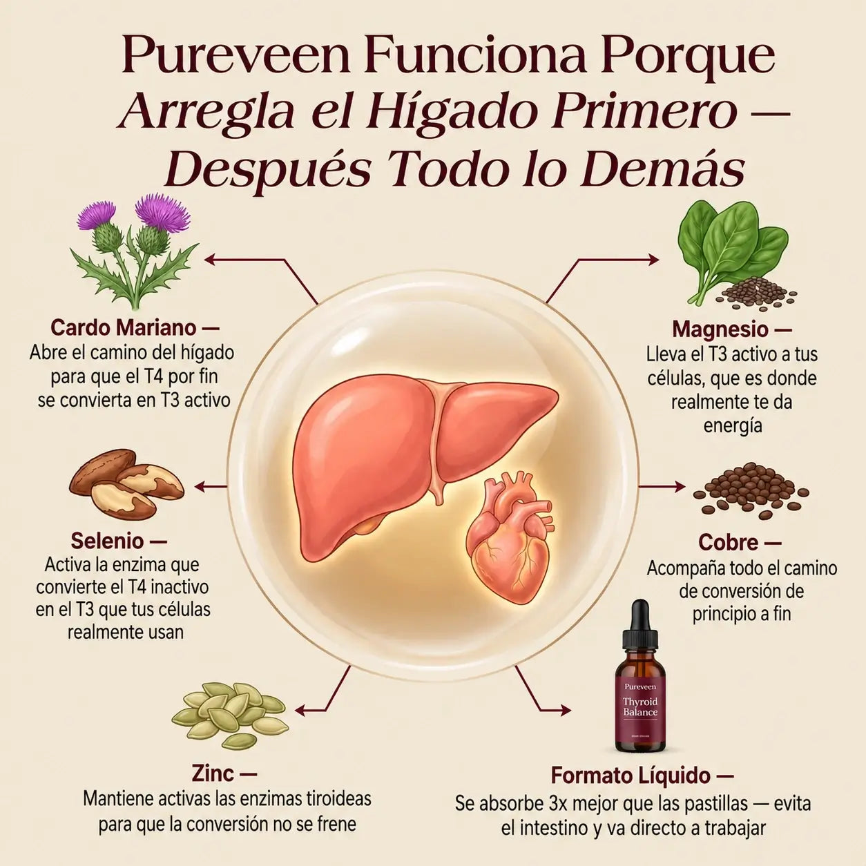 Pureveen™ | Protegé tu corazón. Bajá de peso de verdad.
