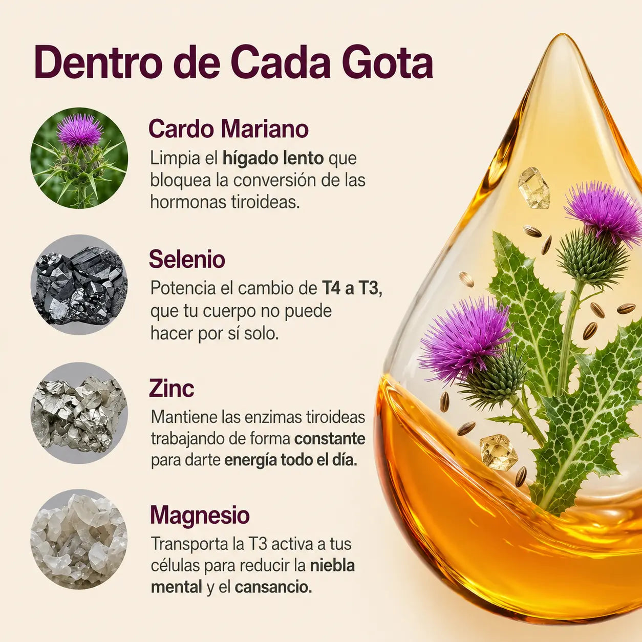 Pureveen™ | Gotas para el Apoyo tiroideo